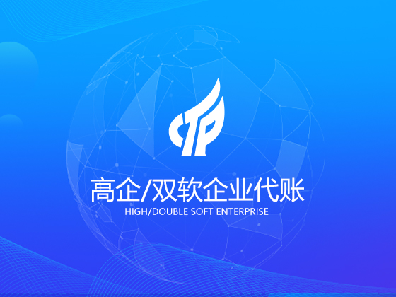 高企双软企业代账.jpg